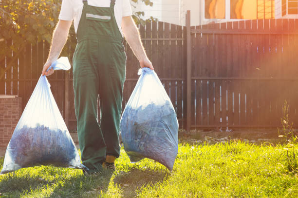 Yard Cleanup Services in Burnsville, MN